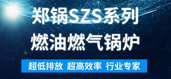 环保先锋 | 龙8SZS系列燃油燃气锅炉解析