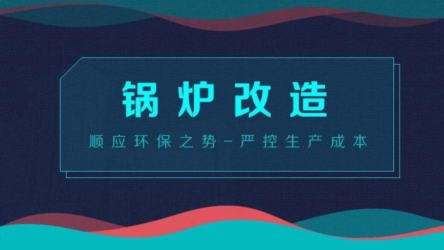 锅炉改造——顺应环保之势，严控生产成本